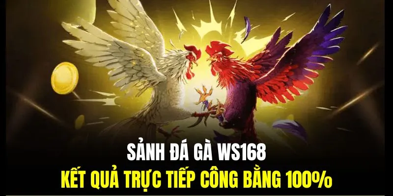 Kết quả trực tiếp công bằng là ưu điểm của sảnh đá gà WS168